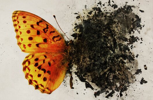 33063e25-abd9-4977-abbd-b7d8963ad1c3 33063e25-abd9-4977-abbd-b7d8963ad1c3