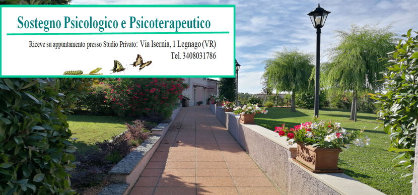 80f9f228-648c-40e1-ab72-b418c2f4e5fe 80f9f228-648c-40e1-ab72-b418c2f4e5fe