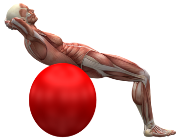 exercise-ball-2277451_960_720