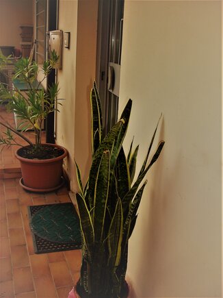 cb30c5ae-dc67-4abb-85e6-f4f392273869 cb30c5ae-dc67-4abb-85e6-f4f392273869