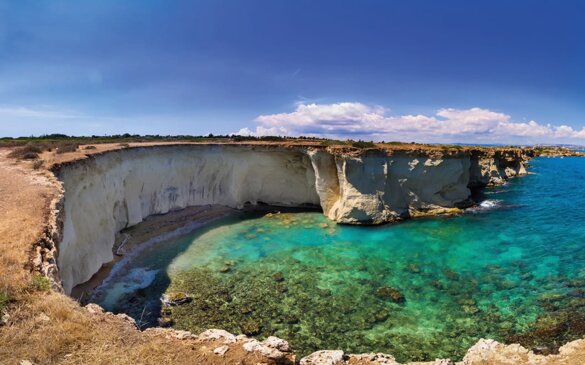 67d31a83-c692-4512-99a4-246efad7e2d3