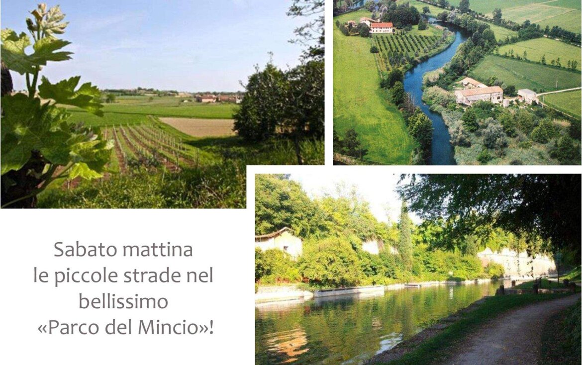 f4fe33e8-668c-4547-a689-b651901673be.jpeg f4fe33e8-668c-4547-a689-b651901673be.jpeg