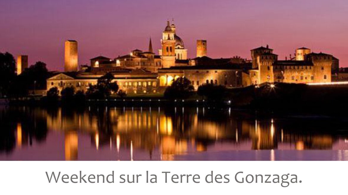 5d025fe3-a6c3-4f79-a6a0-1a2a3c3c581b