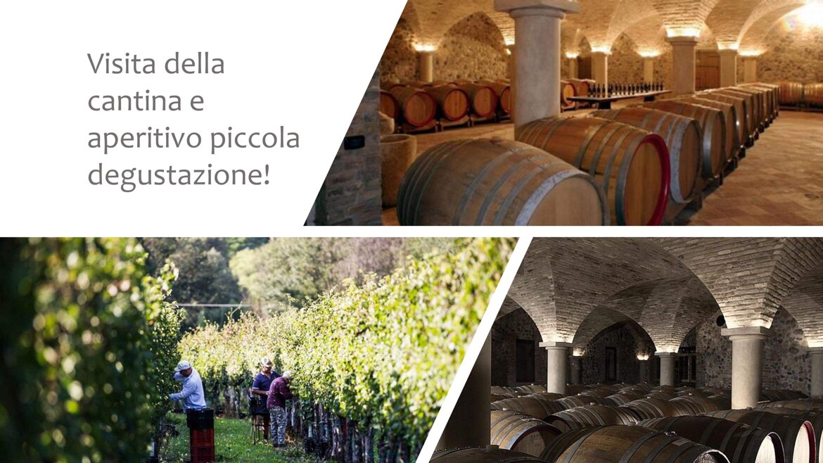 f2497d04-a427-437e-815c-869cde11ef3c.jpeg f2497d04-a427-437e-815c-869cde11ef3c.jpeg