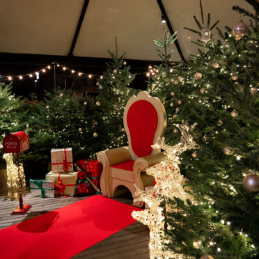 Allestimento evento di Natale Corte dei Ciliegi