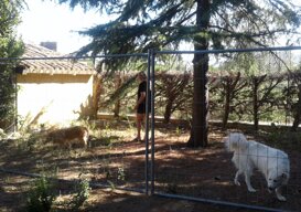 Un recinto per gli ospiti con ombra sempre presente