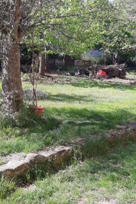 Esterno giardino comune