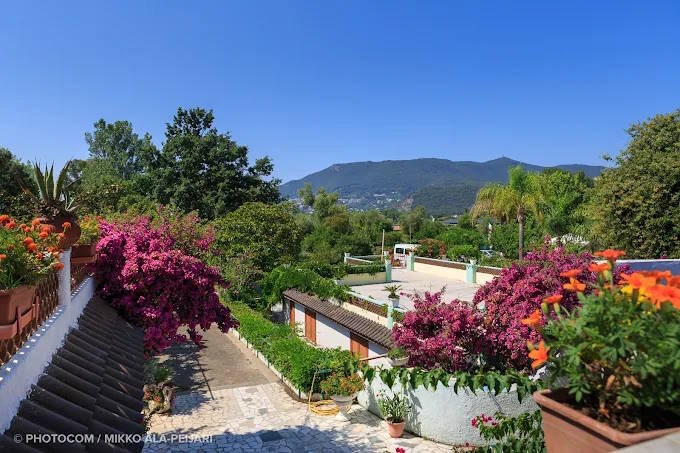 d6f64e07-459e-4ef6-9d13-952f585b98cf