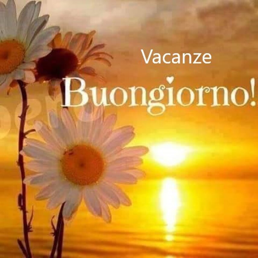 c16e23a7-a227-4ad3-8ad5-f338fb3f6004