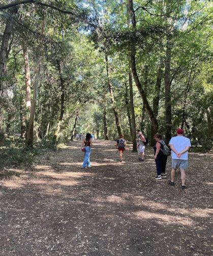 c220992b-85b4-4881-a41c-451b2be231ae