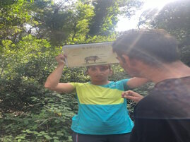 2d9c3813-9c5e-462b-8e93-d1af5fed3e67