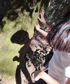 37404c5f-d63e-4e65-bcf4-2c78f489886f