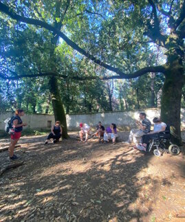 a113ceab-ffe8-4b1d-8ce4-ff5936760999