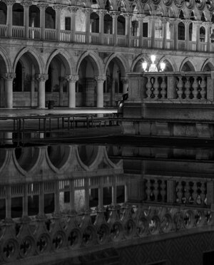 rr_ve_003_3-2024-venezia-gf2.0--geometrie-animali-uccelli-bn.jpeg