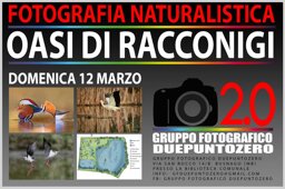 a306dafc-b4f7-421c-8d13-1b13a7938238