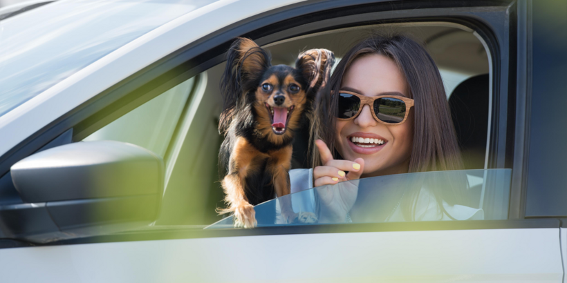 615dce0a-0963-4ddd-90d2-4ae9da5046a9 615dce0a-0963-4ddd-90d2-4ae9da5046a9