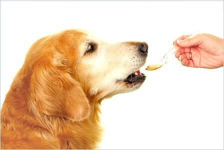 f5ffe12d8b344264b145da15f15603b6