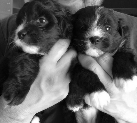 5e602d22aeca4a67959bd9e563806502 5e602d22aeca4a67959bd9e563806502