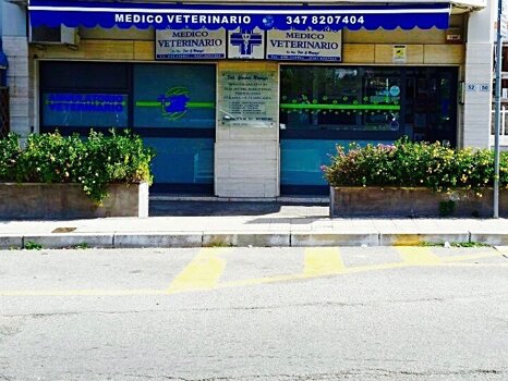 40525e06-441b-445b-af37-bc84b4fe5cda