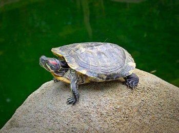 333a28253b914f1ca10644339089d868