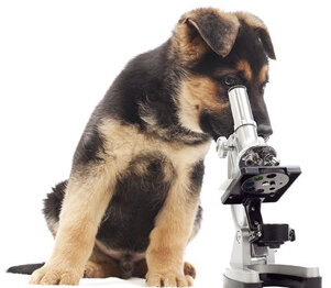 278462fb71004e15bf2c4aaf0bad7853