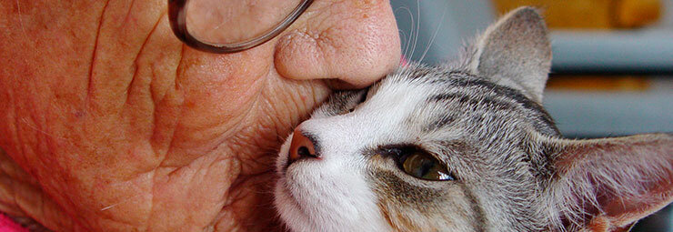 PET THERAPY: IN CHE MODO GLI ANIMALI CI AIUTANO A “GUARIRE”? PET THERAPY: IN CHE MODO GLI ANIMALI CI AIUTANO A “GUARIRE”?