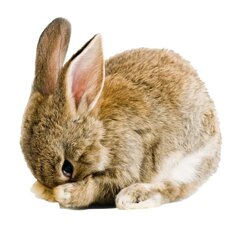 2948a9736499d38049b3ddc3612f4326 2948a9736499d38049b3ddc3612f4326