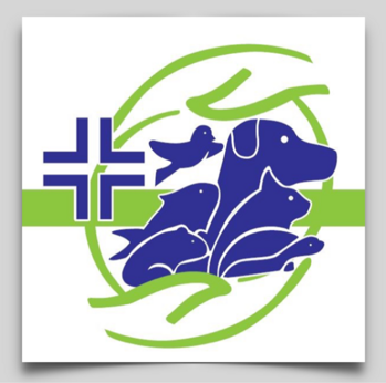 pasted-image-2 pasted-image-2