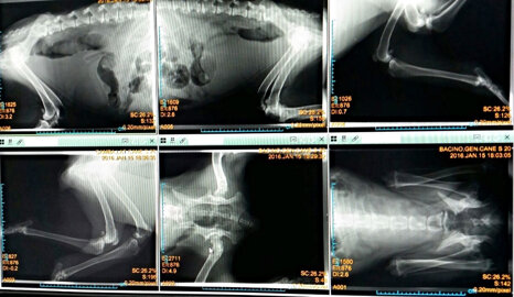 4fcfffcf0cbd44c58f122bf116ef3384