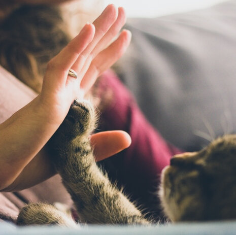 ace23264be1d491eb16ea0db940f70e6.jpeg ace23264be1d491eb16ea0db940f70e6.jpeg