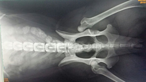 33a6cf3d5f2346ef9debf950a7b3e9fb