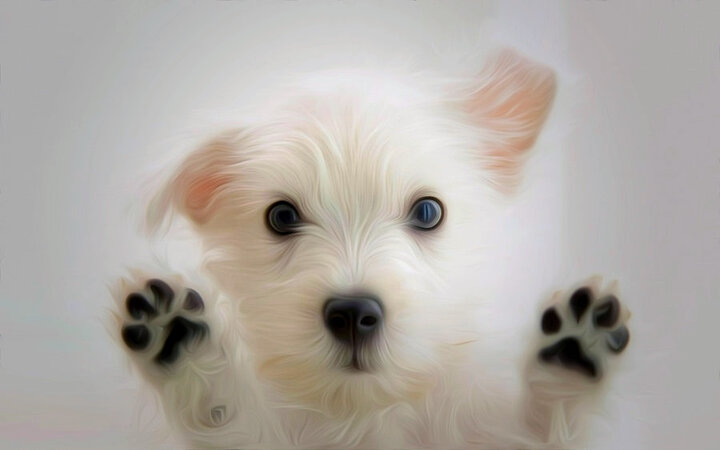 4dec688f02ec468984ce9b987758068e