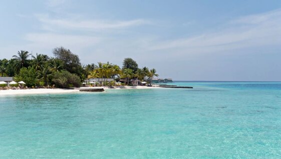 023f8332-f268-40f2-ab05-1da8907a1321