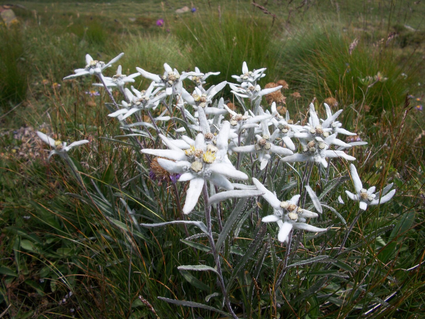 9a73aed7-f230-45df-8acf-4ea71d1f4f3a 9a73aed7-f230-45df-8acf-4ea71d1f4f3a