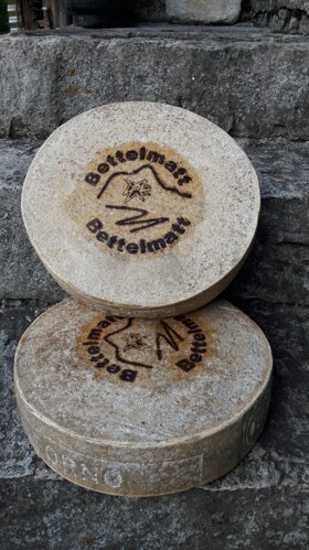 74c2052c-5db9-4663-a568-752bf1ab9269 74c2052c-5db9-4663-a568-752bf1ab9269