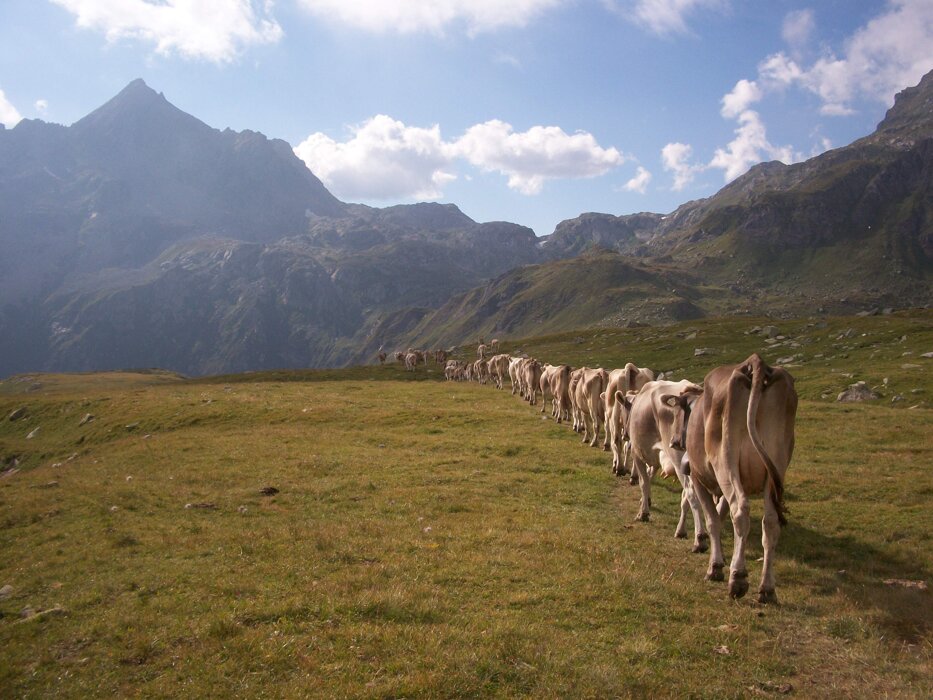 f1606923-2115-490c-80f2-19ae327bdd98 f1606923-2115-490c-80f2-19ae327bdd98