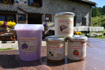 f6bd3036-544b-4815-8cd5-463291fcaf3b f6bd3036-544b-4815-8cd5-463291fcaf3b