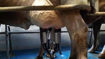 57c04b45-2470-465a-becf-a6a39d46b37a 57c04b45-2470-465a-becf-a6a39d46b37a