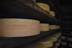 fd3866d4-67c1-4e4f-ba90-896711274c0e fd3866d4-67c1-4e4f-ba90-896711274c0e