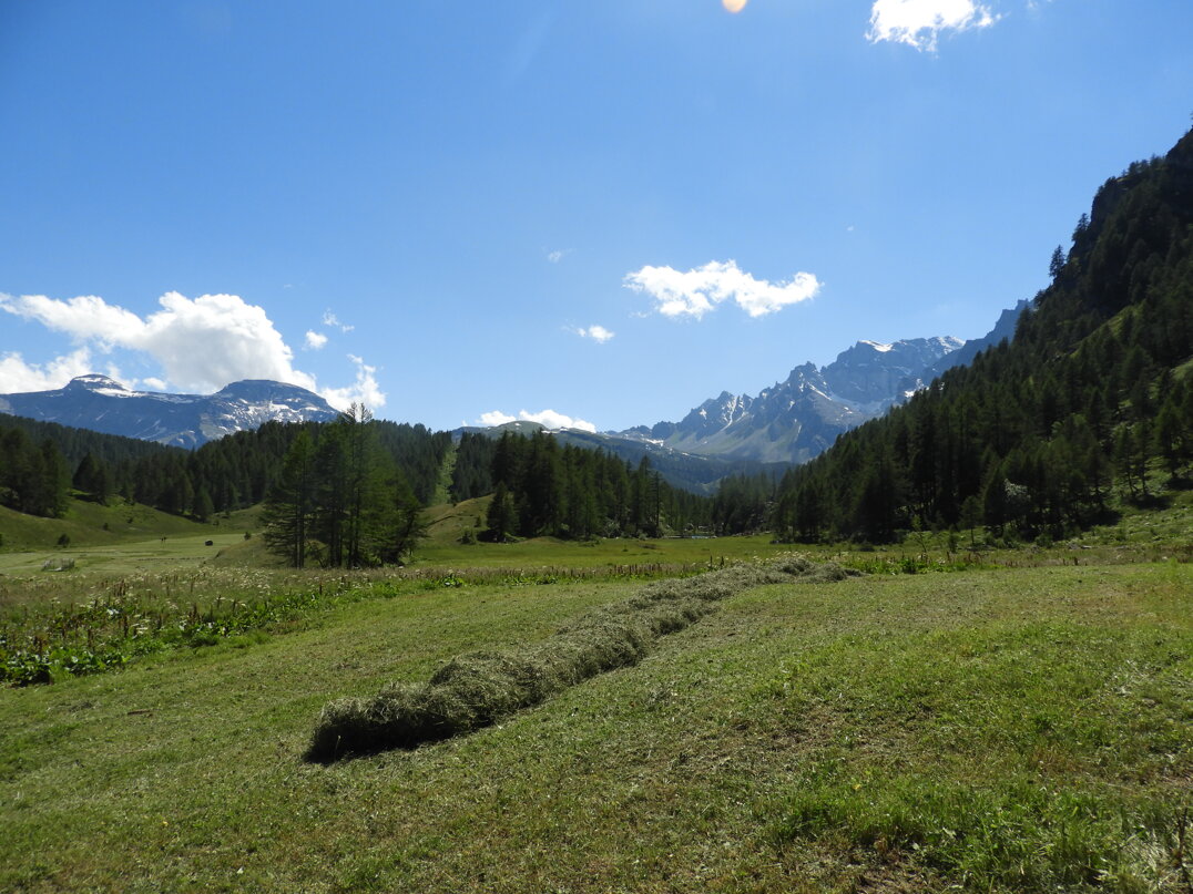 19b81f6e-1353-47ea-851a-abc10ffb61ce 19b81f6e-1353-47ea-851a-abc10ffb61ce