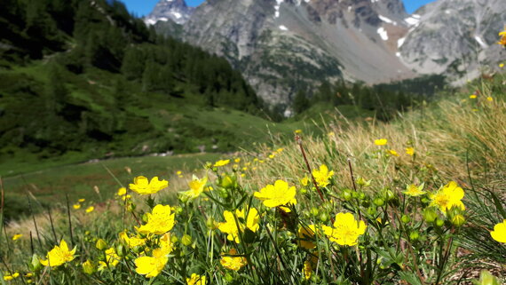 249d8bec-8162-4c2c-bdfc-8f0ad68a84ab 249d8bec-8162-4c2c-bdfc-8f0ad68a84ab