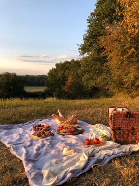 golden hour picnic.jpeg