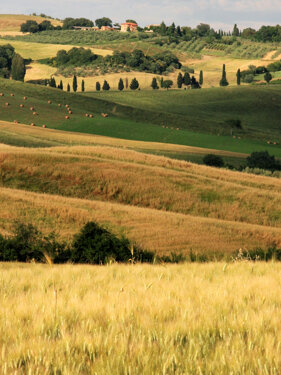 Descrizione immagine