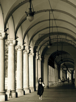 Descrizione immagine