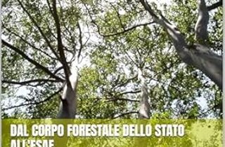 cms%20master.jpeg cms%20master.jpeg