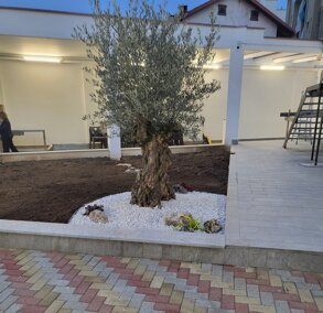 a9e57eec-60d7-4875-bf5a-91e7c5d61a8e a9e57eec-60d7-4875-bf5a-91e7c5d61a8e