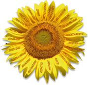 84d33342-24a0-48ed-a216-0b58ac780265