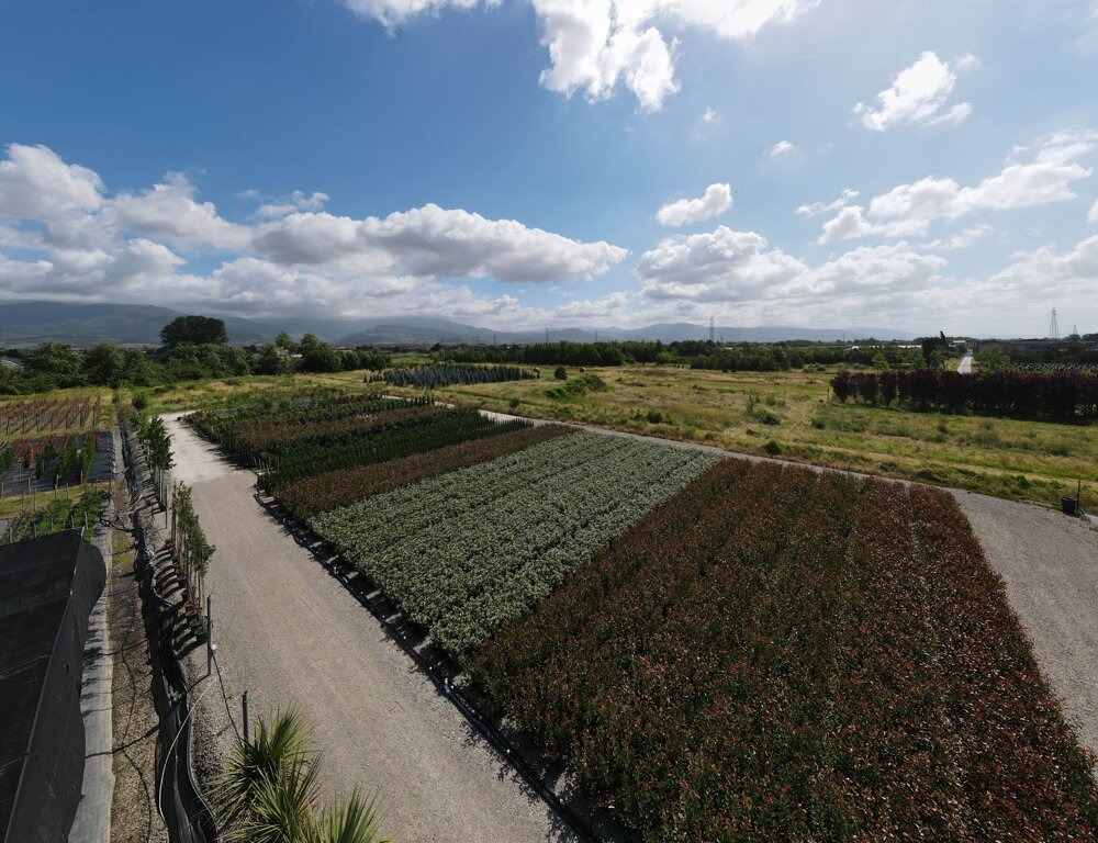 f91e42aa-d2ac-4ed7-97ff-683fd91d6b8f