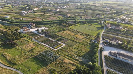 840aa0fa-a7ea-4fb5-9390-3a484df3a4f8