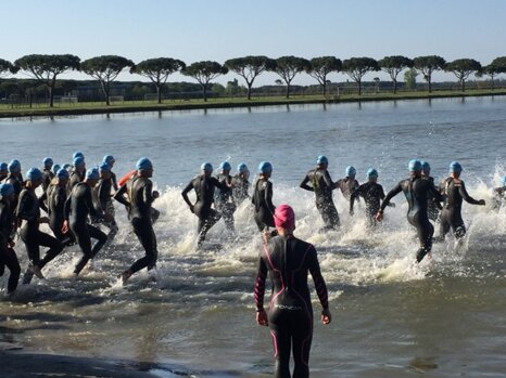 img_9194.jpeg img_9194.jpeg